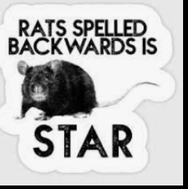 Seminars and Workshops